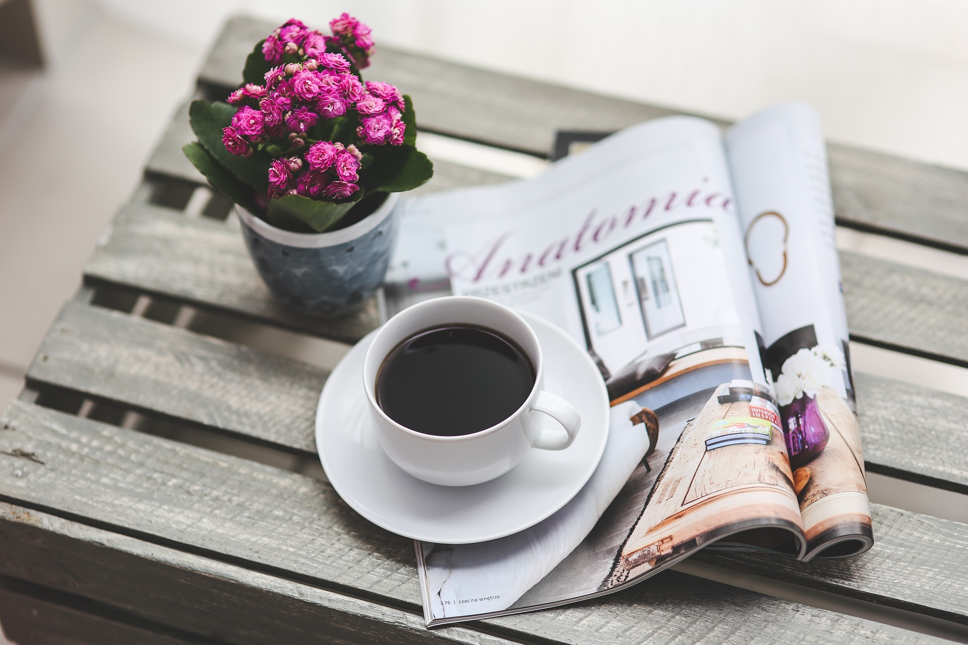 Fashion News-CM-Nachrichten-Magazine-Fashion Week-Burberry-Bella Hadid-Zeitung-Morgen-Kaffee-Blumen-Pink